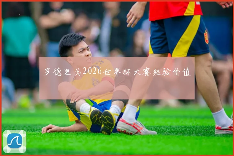 罗德里戈2026世界杯大赛经验价值