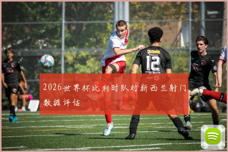 2026世界杯比利时队对新西兰射门数据评估
