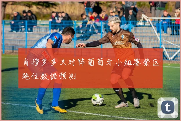 肖穆罗多夫对阵葡萄牙小组赛禁区跑位数据预测