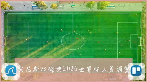 突尼斯vs瑞典2026世界杯人员调整