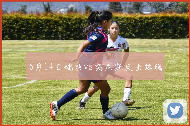 6月14日瑞典vs突尼斯反击路线