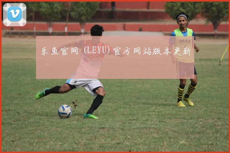 乐鱼官网 (LEYU)官方网站版本更新