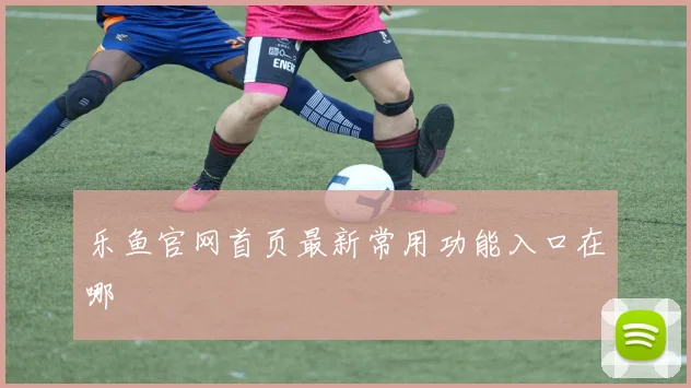 乐鱼官网首页最新常用功能入口在哪